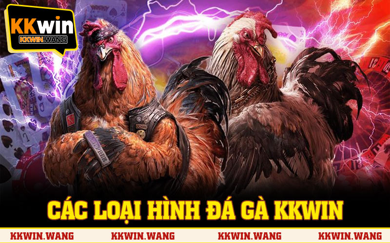 Các loại hình đá gà KKWIN được ưa thích bậc nhất tại sảnh