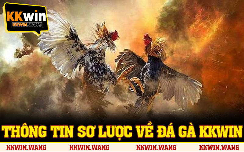 Thông tin sơ lược về đá gà KKWIN